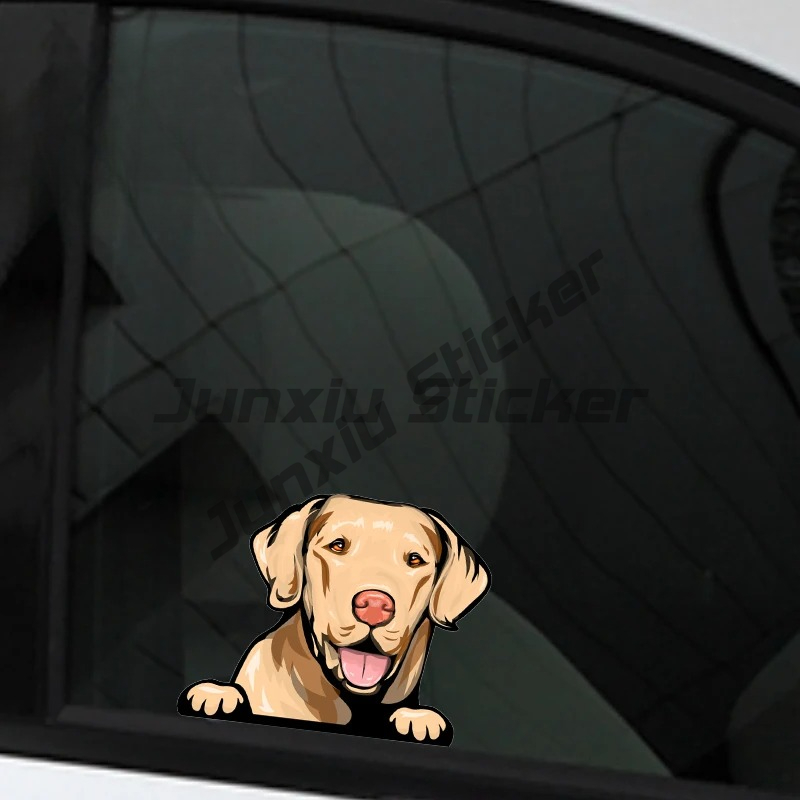 Labrador Retriever Peeker Auto - Yellow Laptop Accessories recensie en prijs